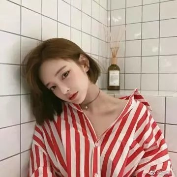 猎犬