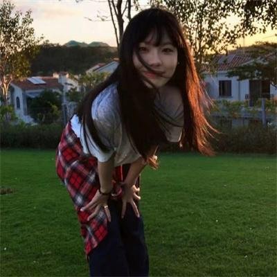 夏日菊花茶前传